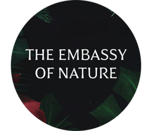 https://www.instagram.com/the_embassy_of_nature/